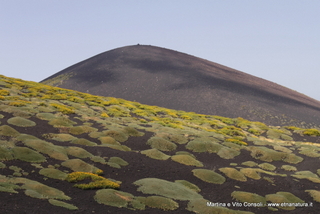 rra delle Concazze-05-08-2014 15-14-05